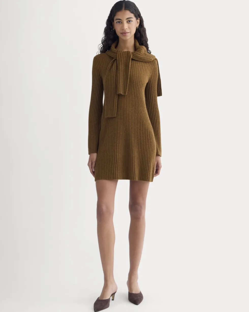 Cashmere Long-Sleeve Mini Dress