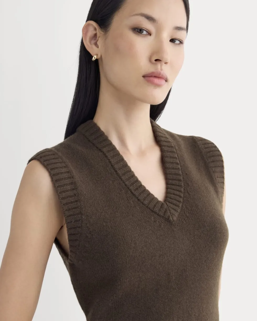 Sweater Mini Dress in Luxe Merino